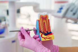 Best Dental hospital in Vijayawada